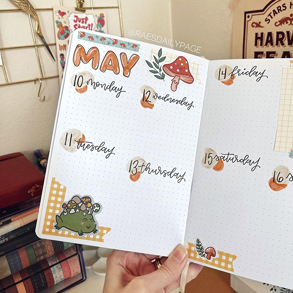 2020 Bullet Journal Set Up - Rae's Daily Page