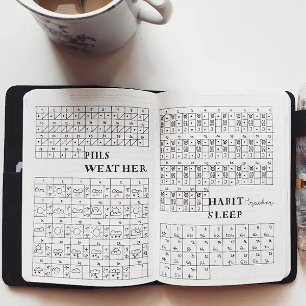 Bullet Journal Inspiration 