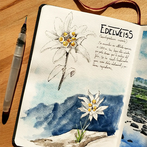 Watercolor Travel Journal – Keeping memories alive long after the trip